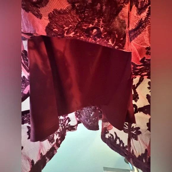 For Love And Lemons Burgundy Lace Dress - Picture 5 of 10